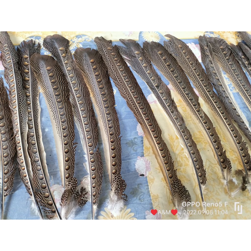 TERMURAH COD Bulu Burung Aksesoris adat Hiasan Kepala Siap Pakai Bulu Menari Karnaval Festival Baju 