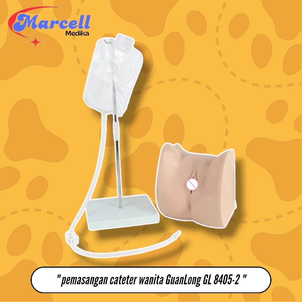 PHANTOM MANEKIN PEMASANGAN CATETER WANITA GUANLONG GL 8405-2 / MANIKIN PEMASANGAN CATETER