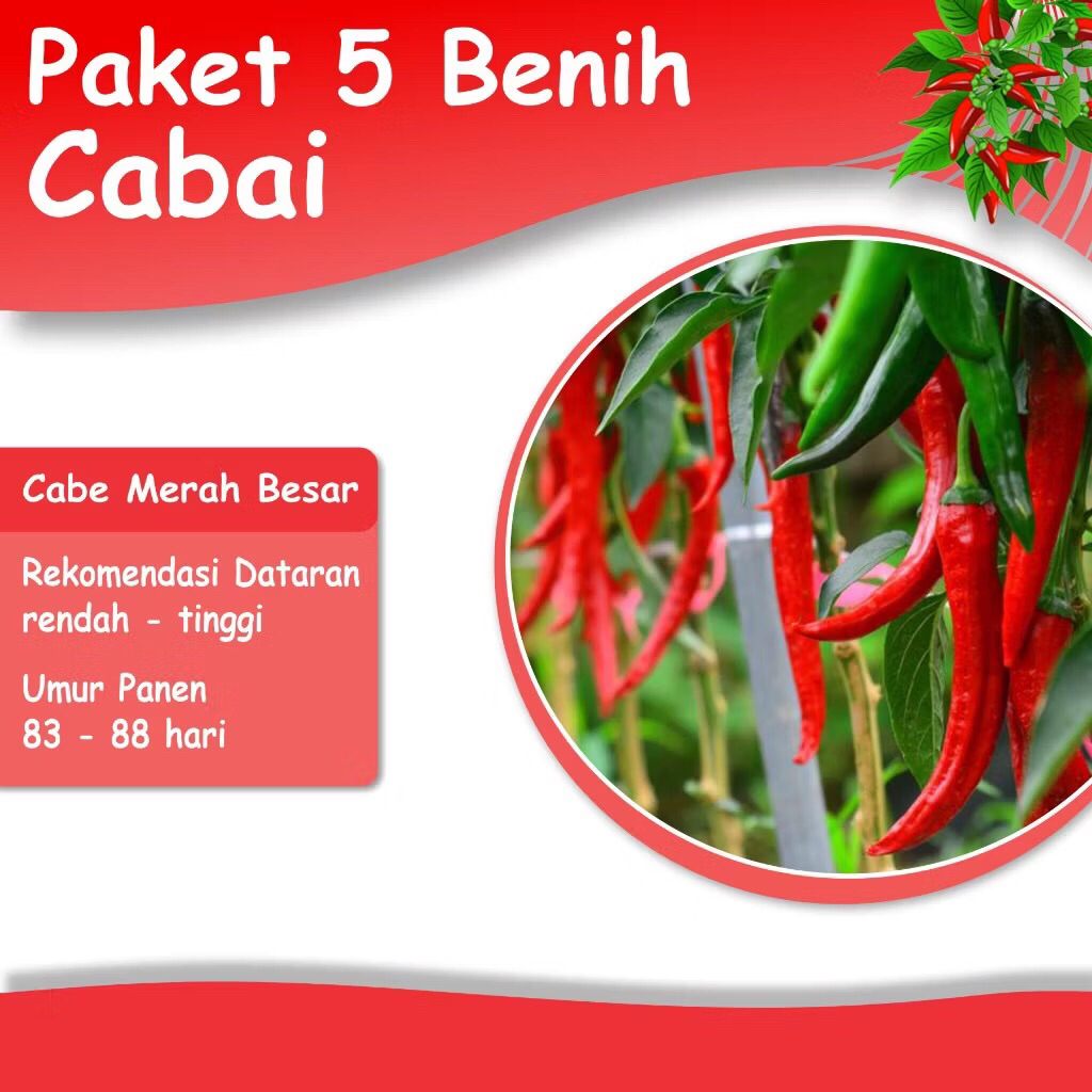 Paket Benih Cabe 5 Jenis Bibit Sayuran Cabai Merah Besar Keriting Rawit Hijau Rawit Putih Rawit Meru
