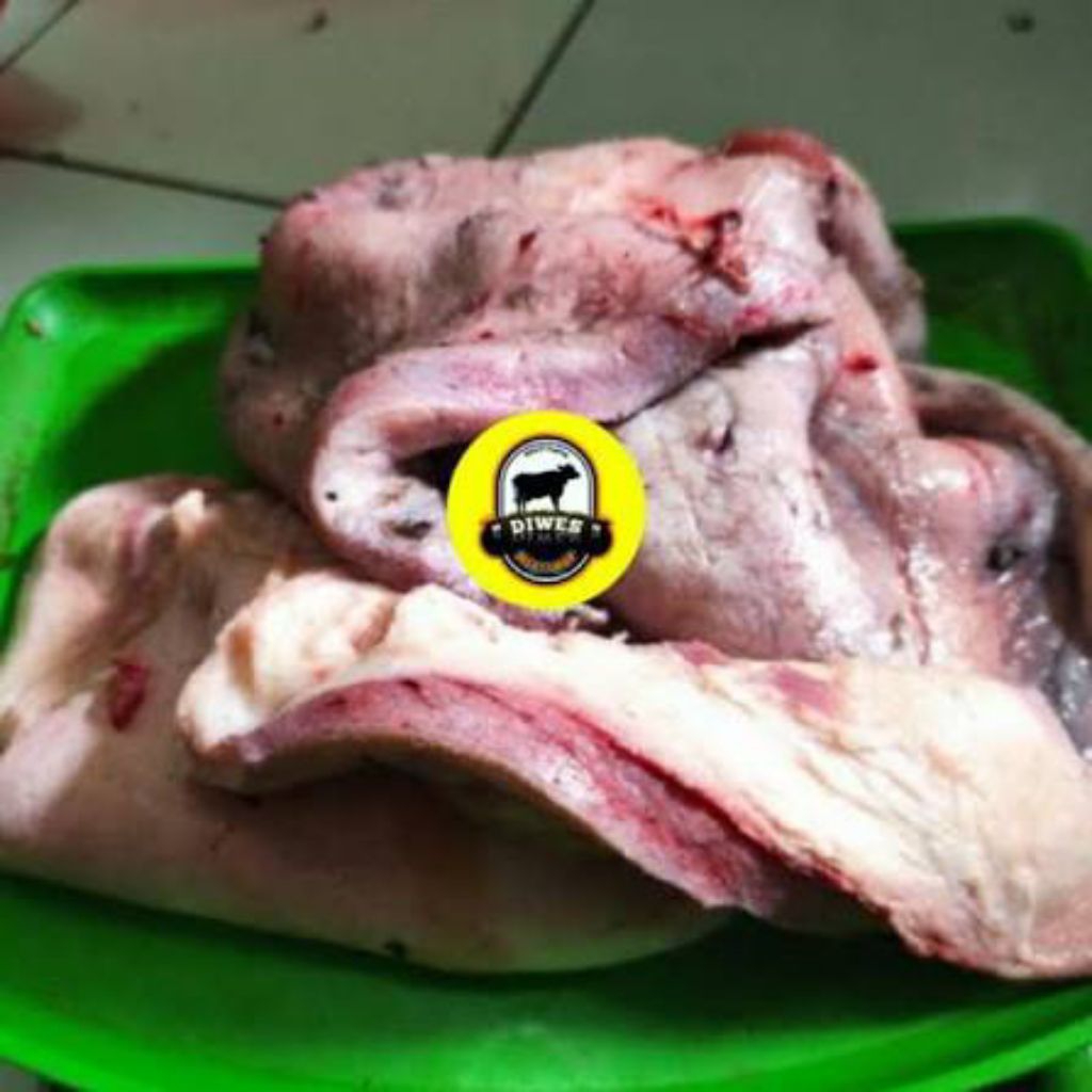 Kulit daging kepala sapi fresh segar