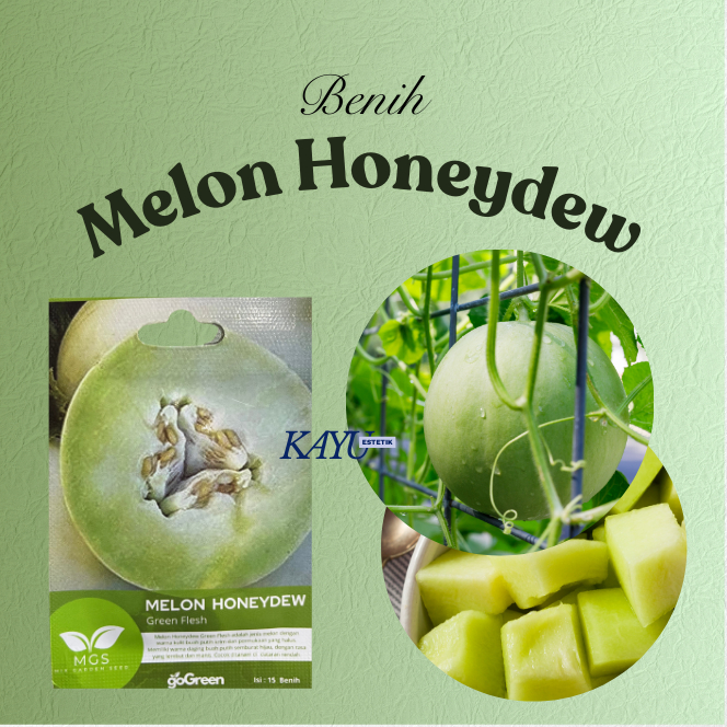 Benih Melon/Benih Melon Honeydew/Benih Melon Honeydew Green Fresh/Benih Murah