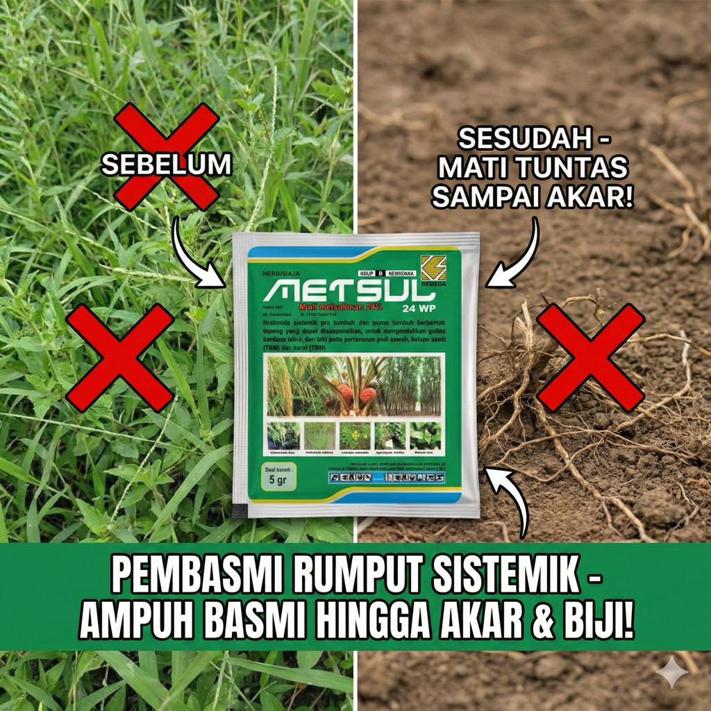 Metsul 24 WP 5 Gram Racun Rumput Liar Paling Ampuh Basmi Sampai Akar Biji Herbisida Sistemik