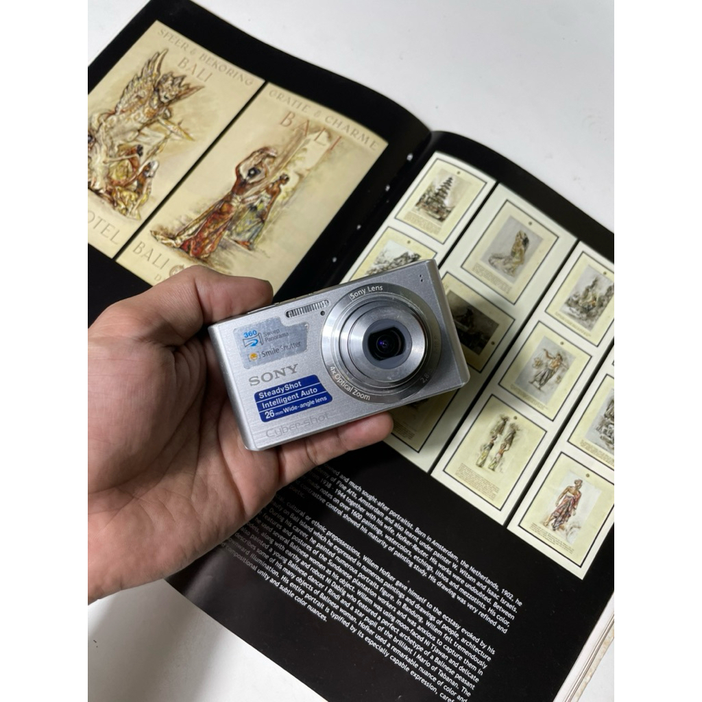 kamera digital sony cybershot dsc-w610