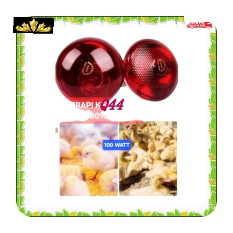 Q44 Lampu terapi 100 W infrared ORI 100% PENYEMBUH SEHAAT Bohlam Infra RED Merah FISIOTHERAPY Keseha