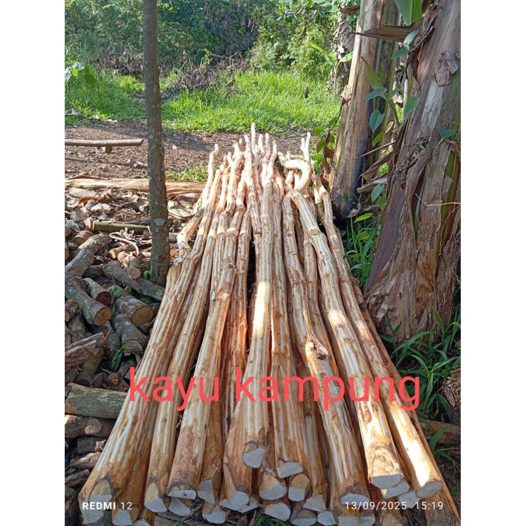 kayu, kayu dolken, dolken kayu, dolken kayu bulatan, dolken kayu keras, dolken kupas, dolken kayu 4 