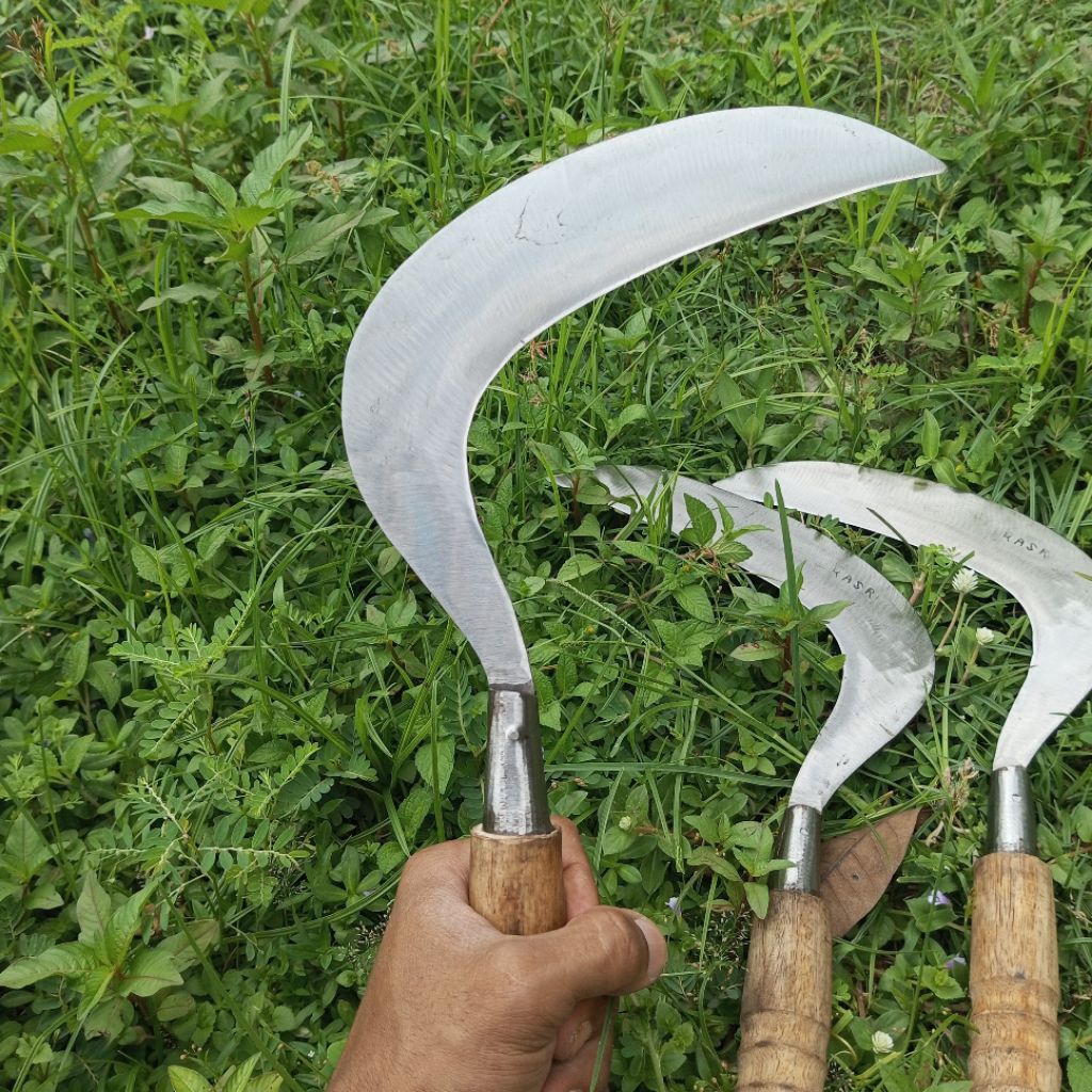 Arit rumput baja putih sabit baja super tjm sudah disepuh siap pakai