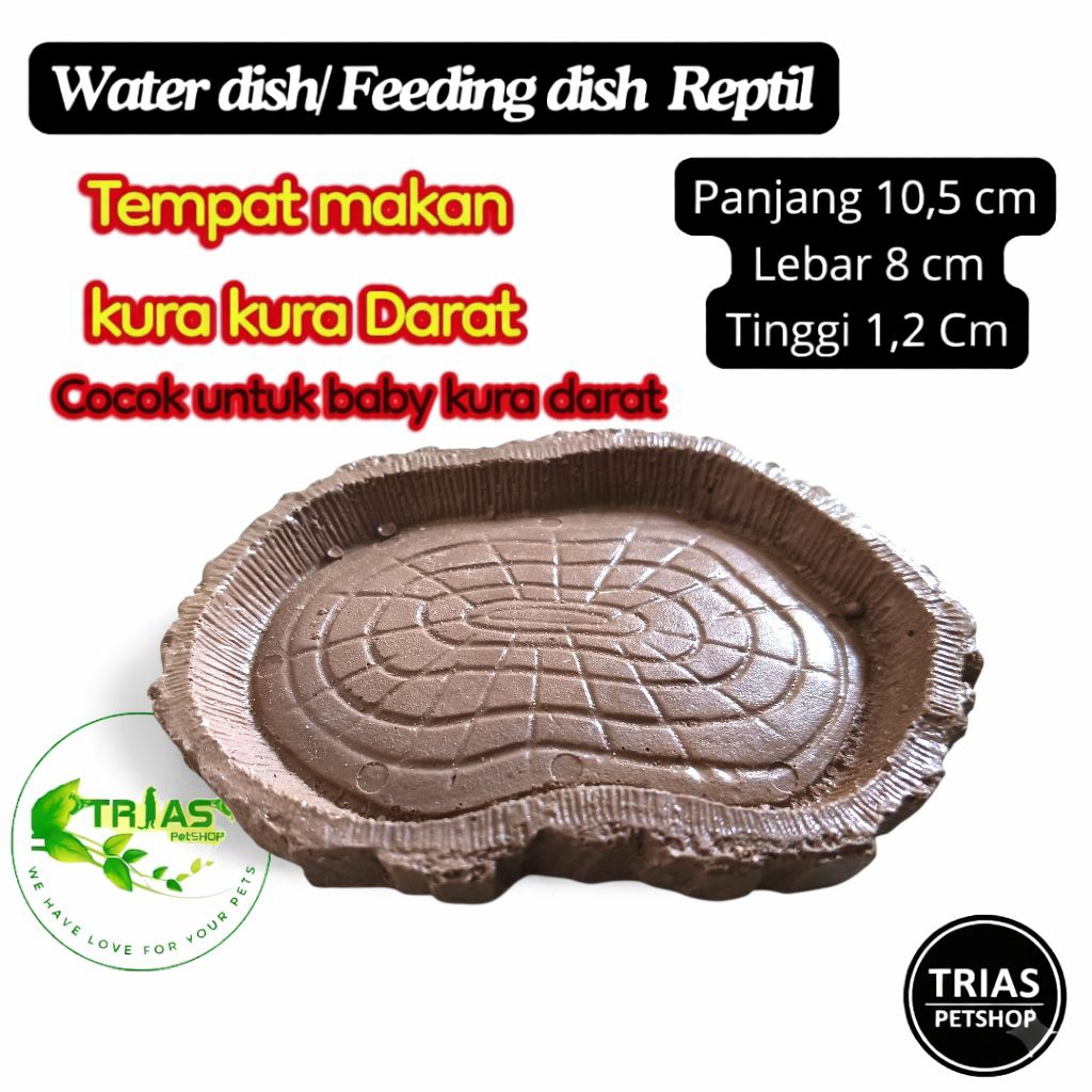 Tempat Makan Kura Kura Darat Baby | Feeding Dish Reptil Resin | Mangkok Pakan sulcata pardalis baby