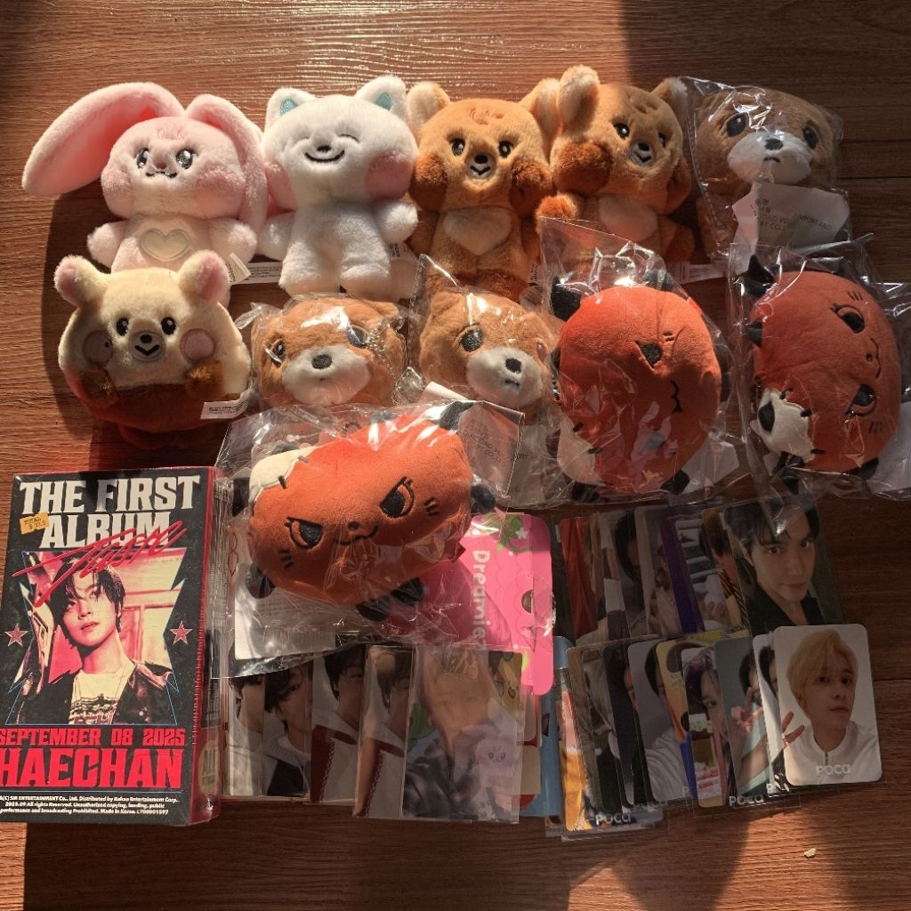 Nila 2 (Merchandise Album Doll NCT WAYV)