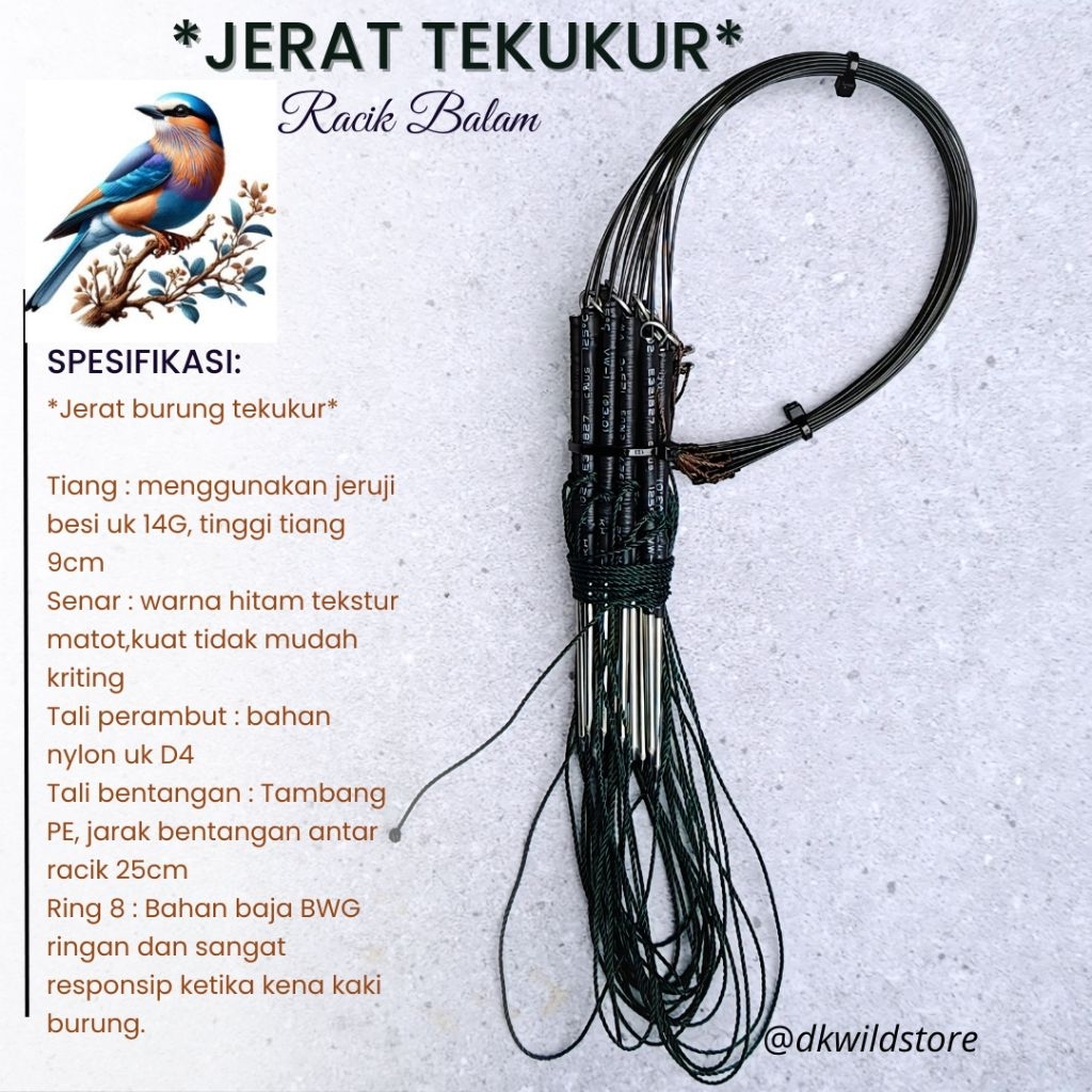 Jerat tekukur tancap racik burung balam, jerat burung tekukur burung kutilang model tancap