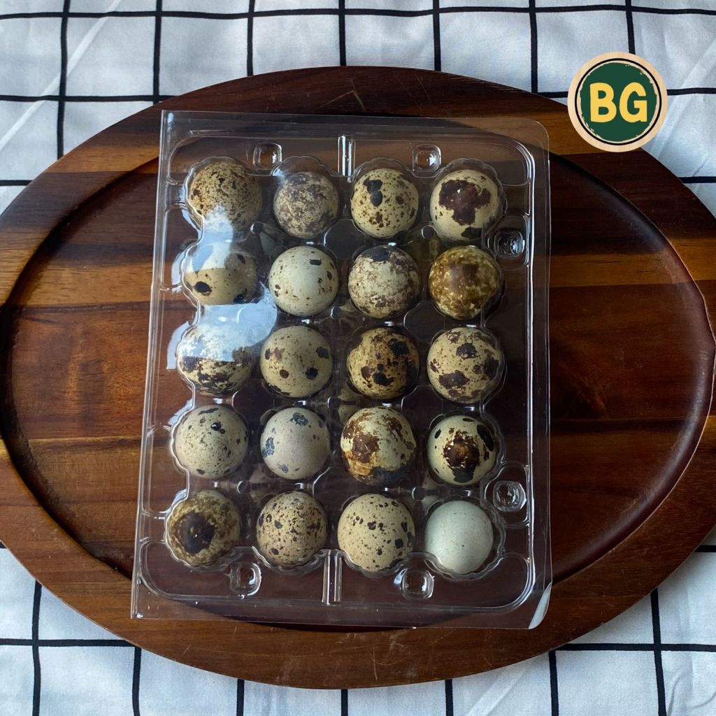 Telur puyuh segar, telur puyuh,  telur puyuh isi 20