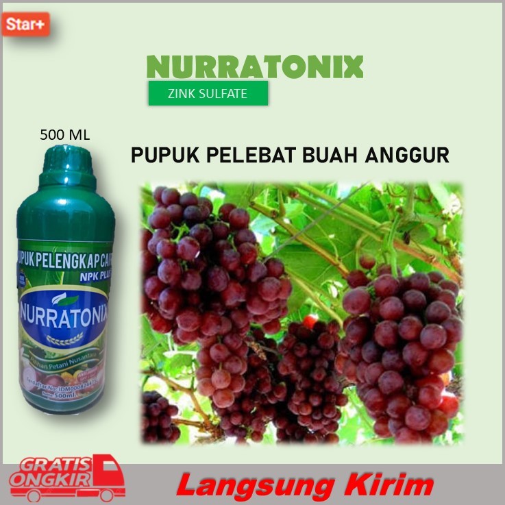 Pupuk Cair Melebatkan Buah Anggur - Pupuk Pelengkap NPK Nuarratonic 500 Ml Mempercepat Pertumbuhan T