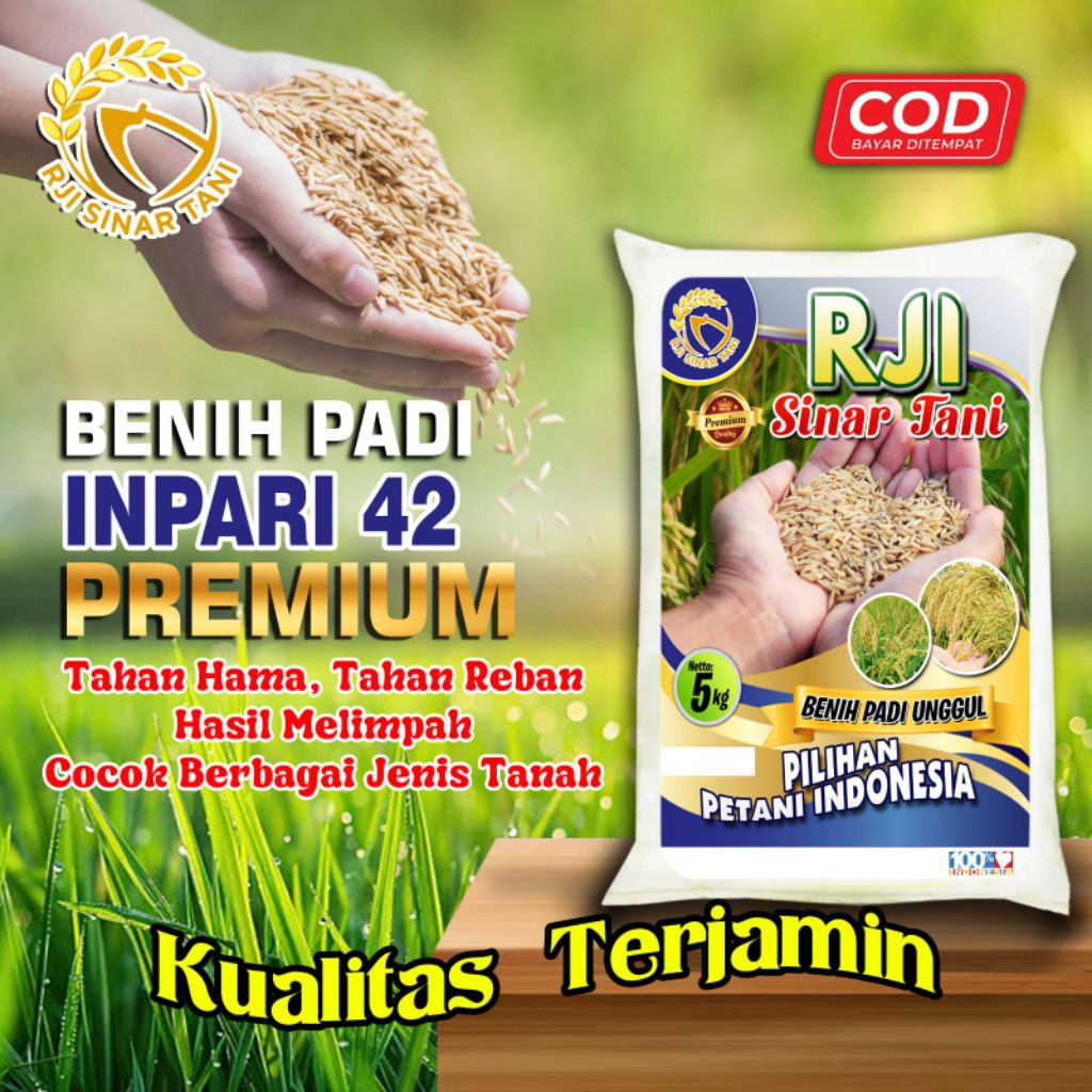 Benih Padi INPARI 42 Kualitas Premium 5KG