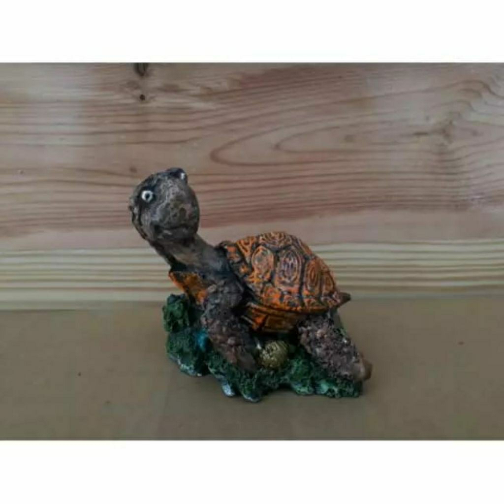 mainan anak bisa hidup bulus satuan