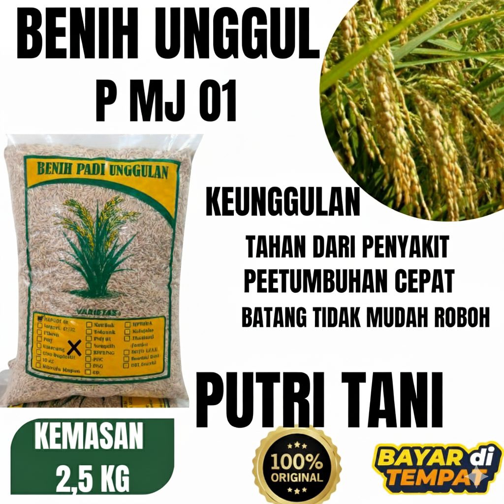 Benih Padi unggul berkualitas PMJ.01 2,5kg benih padi pmj 01