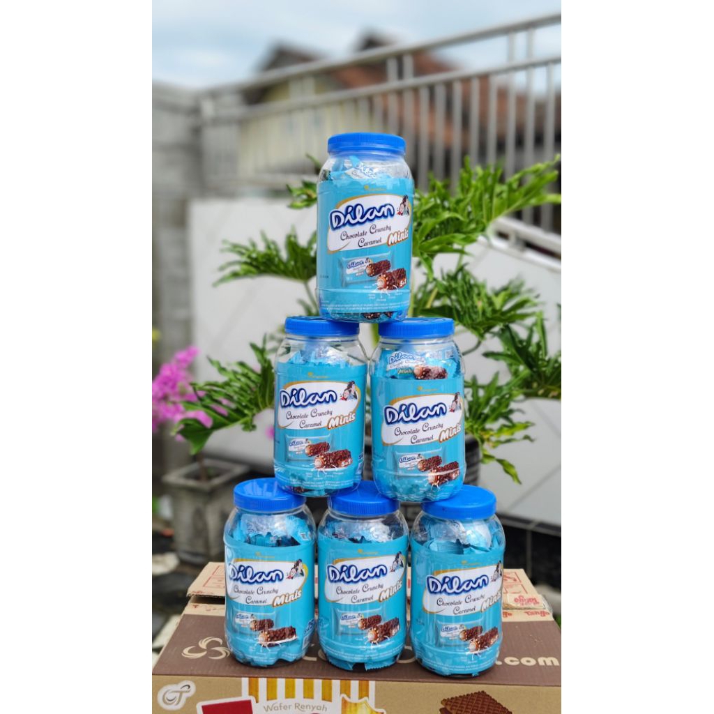 Dilan Toples Mini Pack 25 pcs