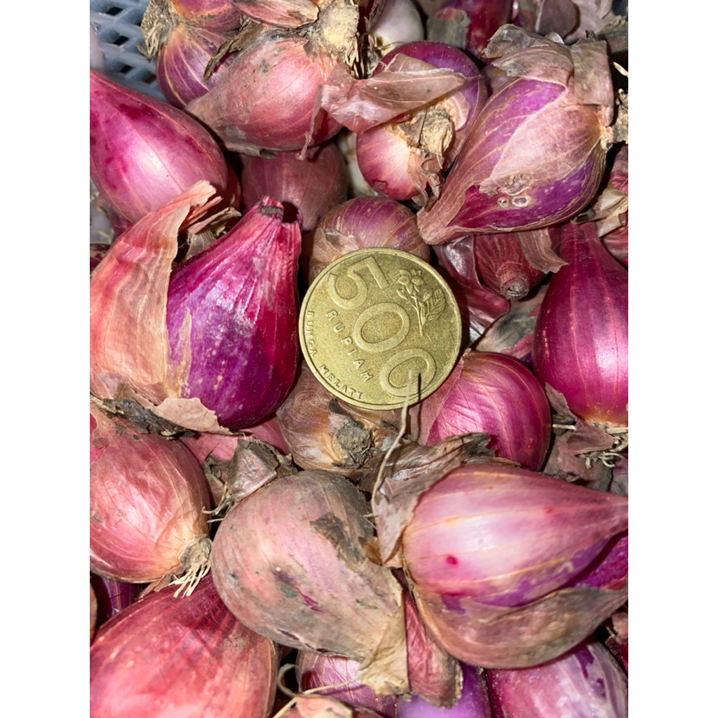 bawang merah 1 kg