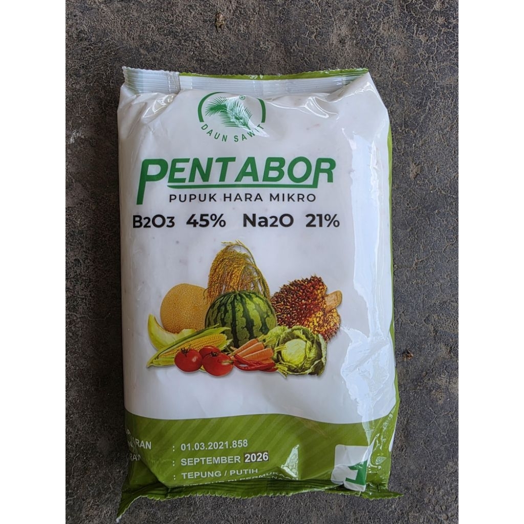 (1 KG) Borat PENTABOR ORIGINAL Pupuk Mikro Boron/Borax/Borate Murni/Perangsang Buah Daun Sawit