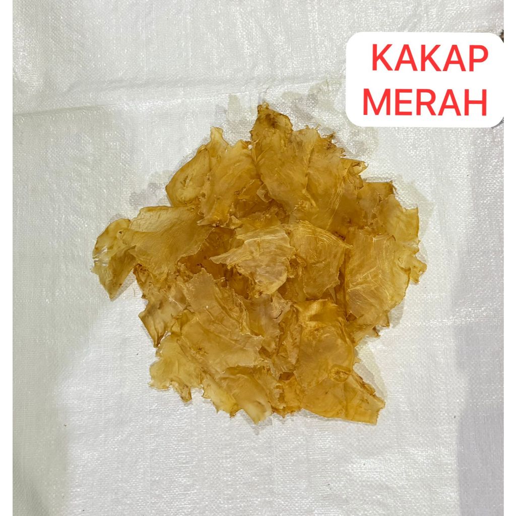 HIPIO KAKAP MERAH KERING BESAR SUPER -HI PHIAU HUPIO YI PHIAU FISH MAW