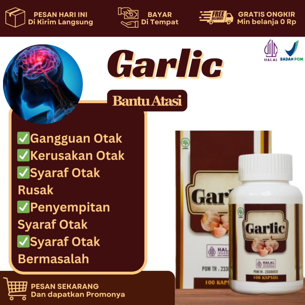 Obat Untuk Syaraf Otak Rusak, Gangguan Otak, Kerusakan Otak, Penyempitan Syaraf Otak, Syaraf Otak Be