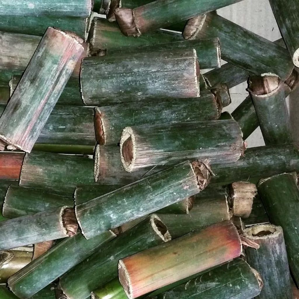 Ulat Bambu Hidup Cilung Cangcilung Segar Umpan Mancing Pakan Burung