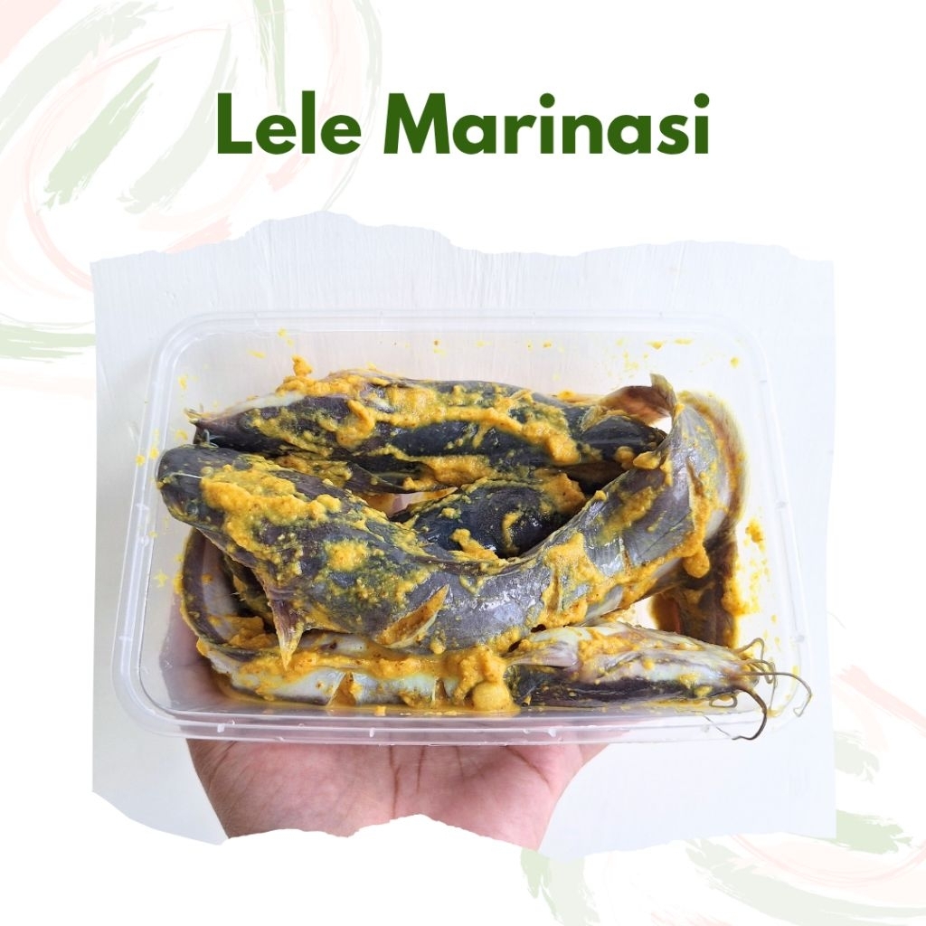 LELE MARINASI ISI 4 EKOR - LELE MARINASI BUMBU KUNING - LELE SEGAR - LELE MARINASI SIAP DIGORENG - L