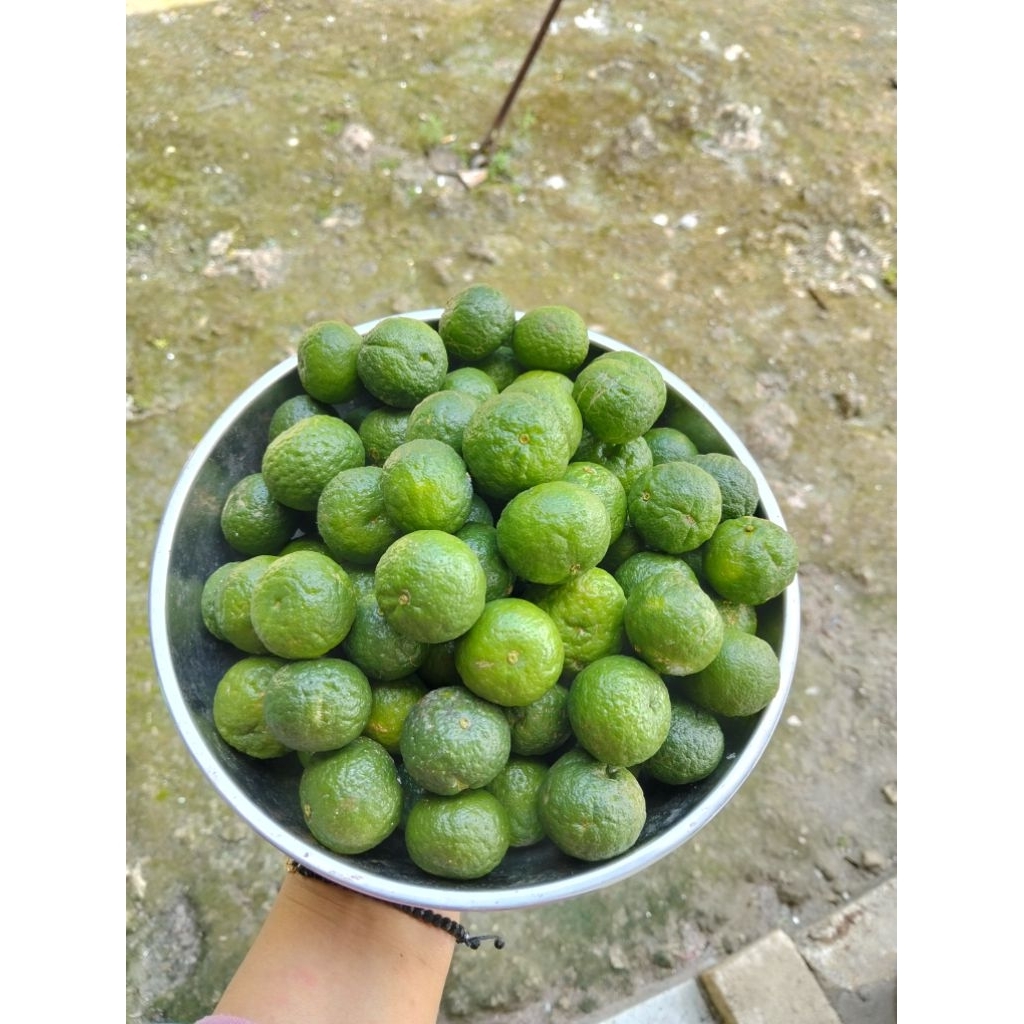 JERUK LIMAU/JERUK SAMBAL SEGAR