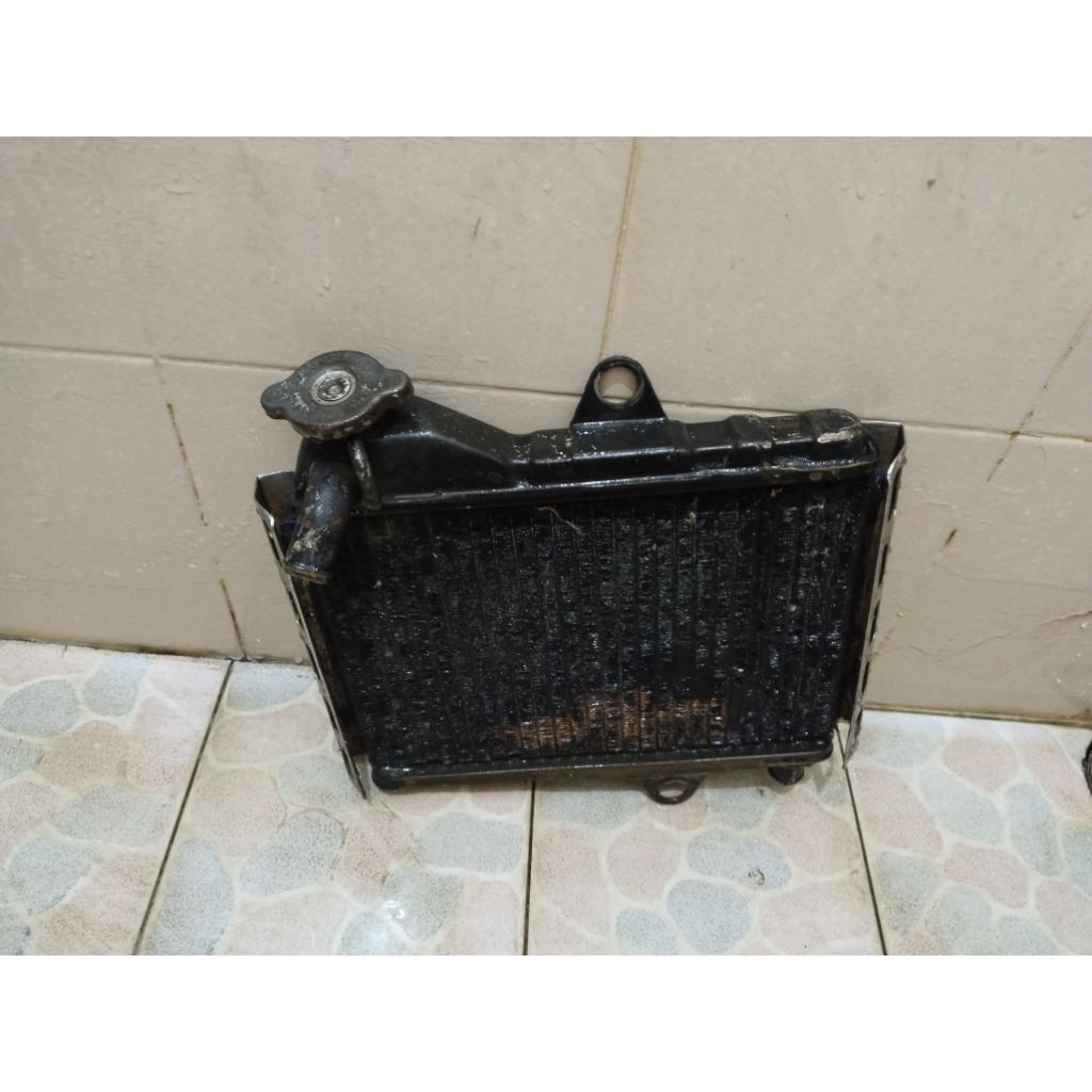 original radiator ninja r