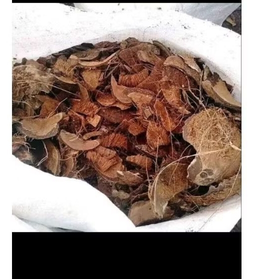 batok kelapa untuk arang 10kg