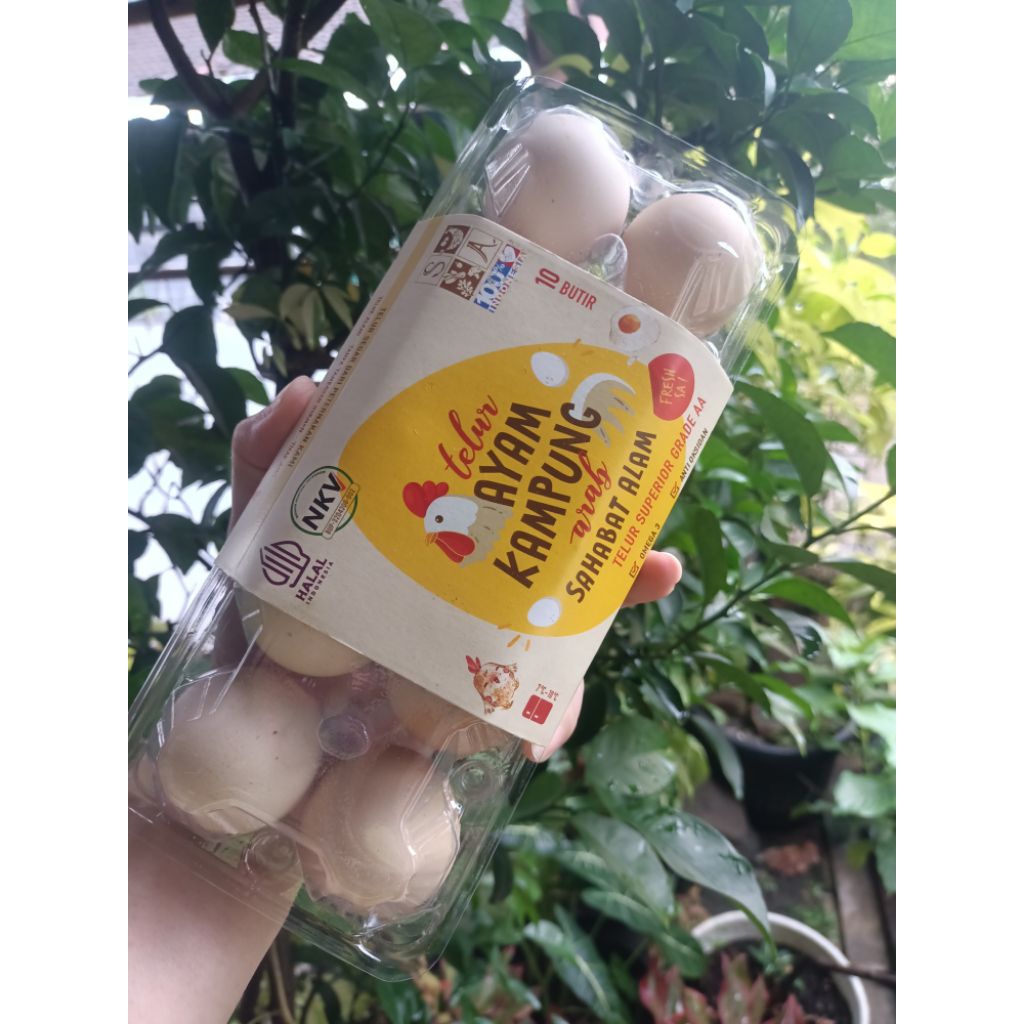 Telur ayam kampung arab