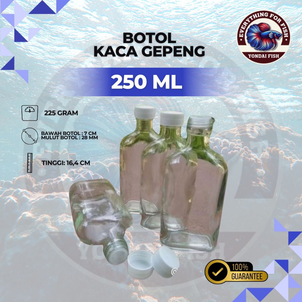 Botol Kaca Gepeng  250 ML | CUPANG | KACA  | MURAH | TEMPAT CUPANG | BARU