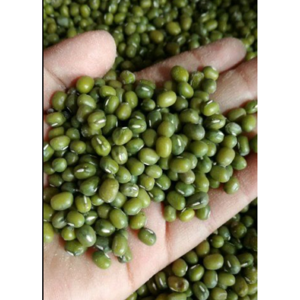 Kacang Hijau 500 Gram - Kacang Hijau Lokal, Kacang Hijau Import, Kacang Hijau Asli