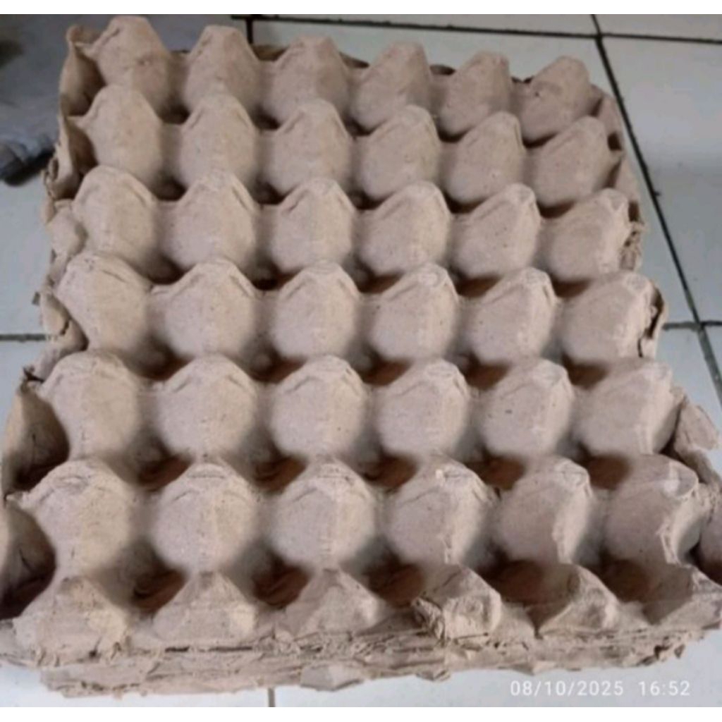 tray telur bekas murah 08.