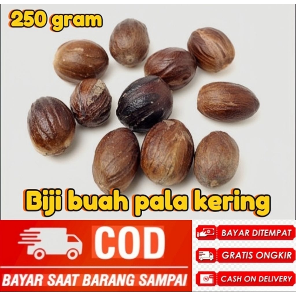 Biji buah pala kering/per 250 gram biji pala kering