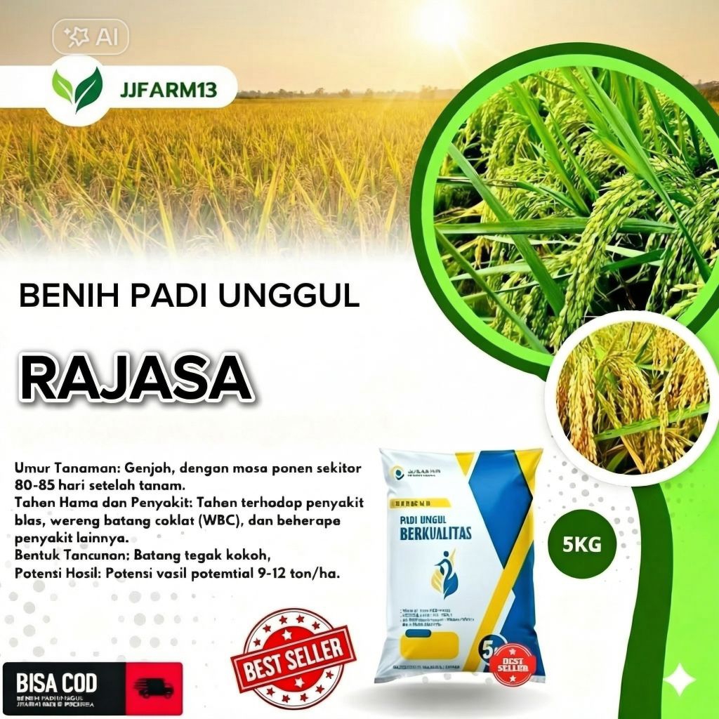 BENIH PADI UNGGUL BERKUALITAS PADI RAJASA KEMASAN 5KG ORIGINAL