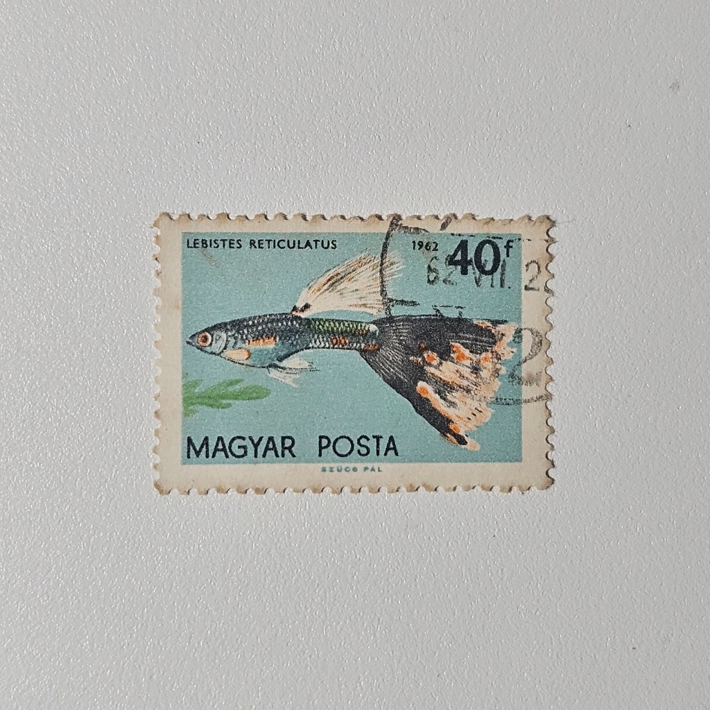 Perangko Fauna Ikan Guppy: Lebistes Reticulatus (Perangko Vintage 1962)