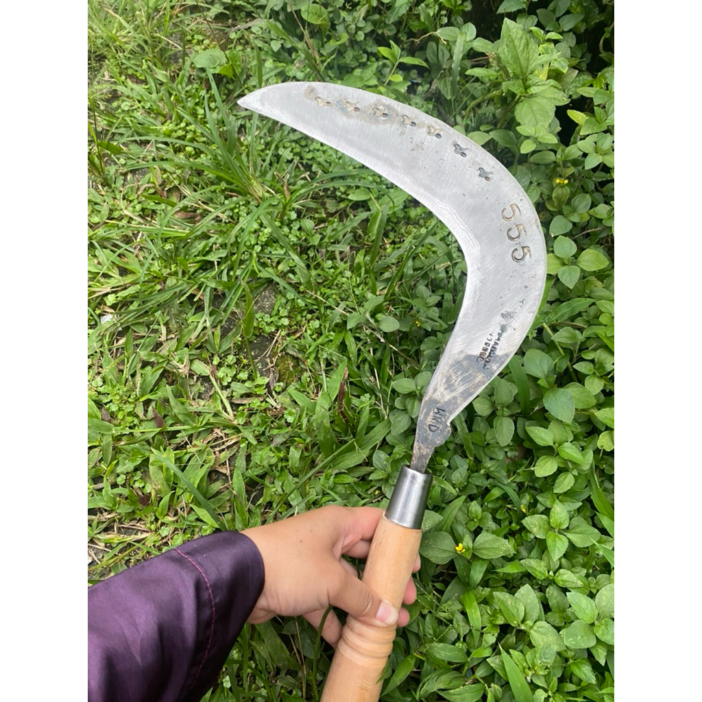 Arit rumput baja isen selap5 cap555 wonosobo