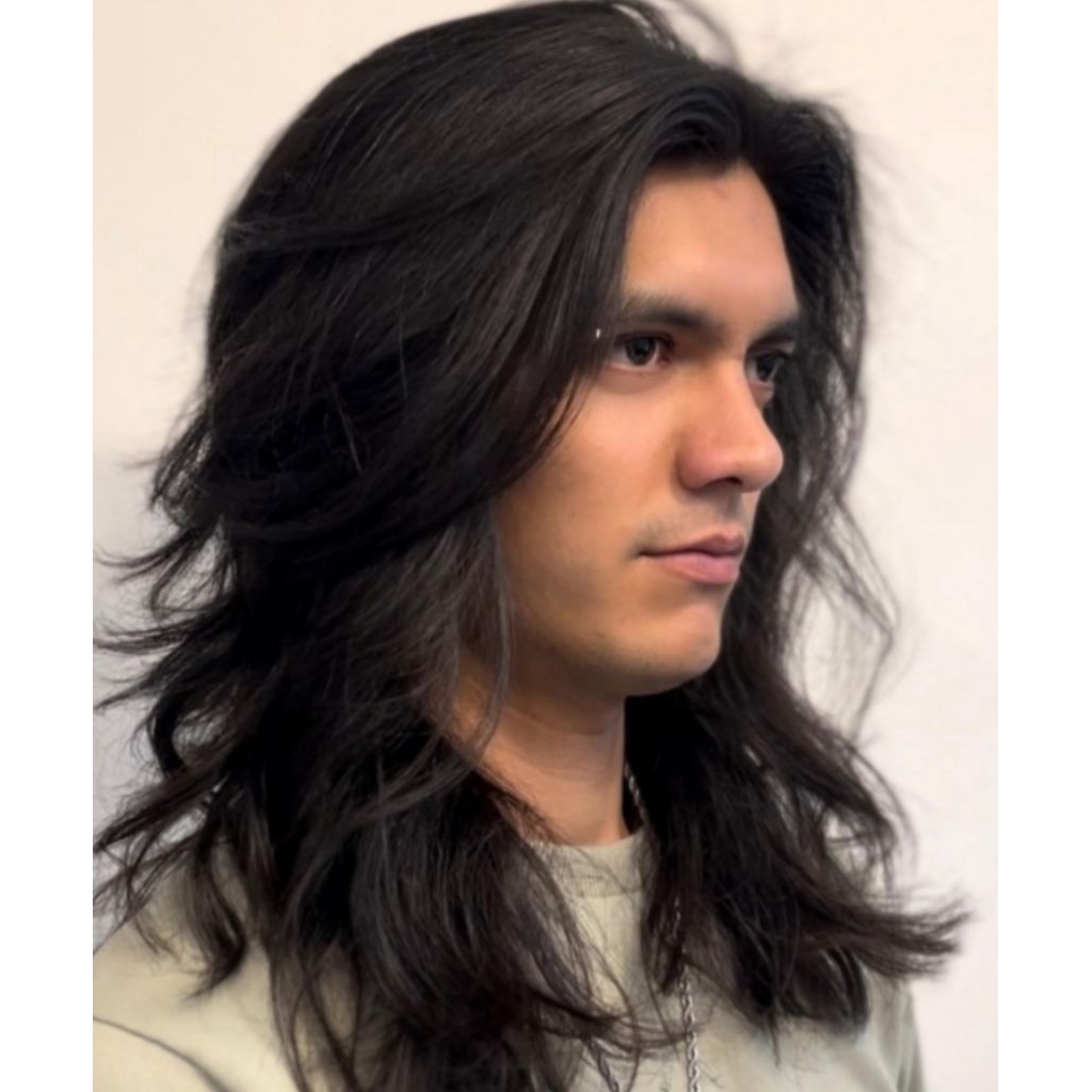 wig/pria/panjang/gondrong