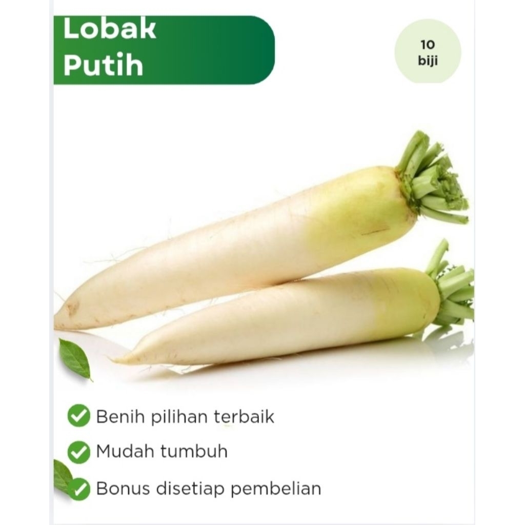 Benih Sayuran Lobak Putih F1 Hibrida
