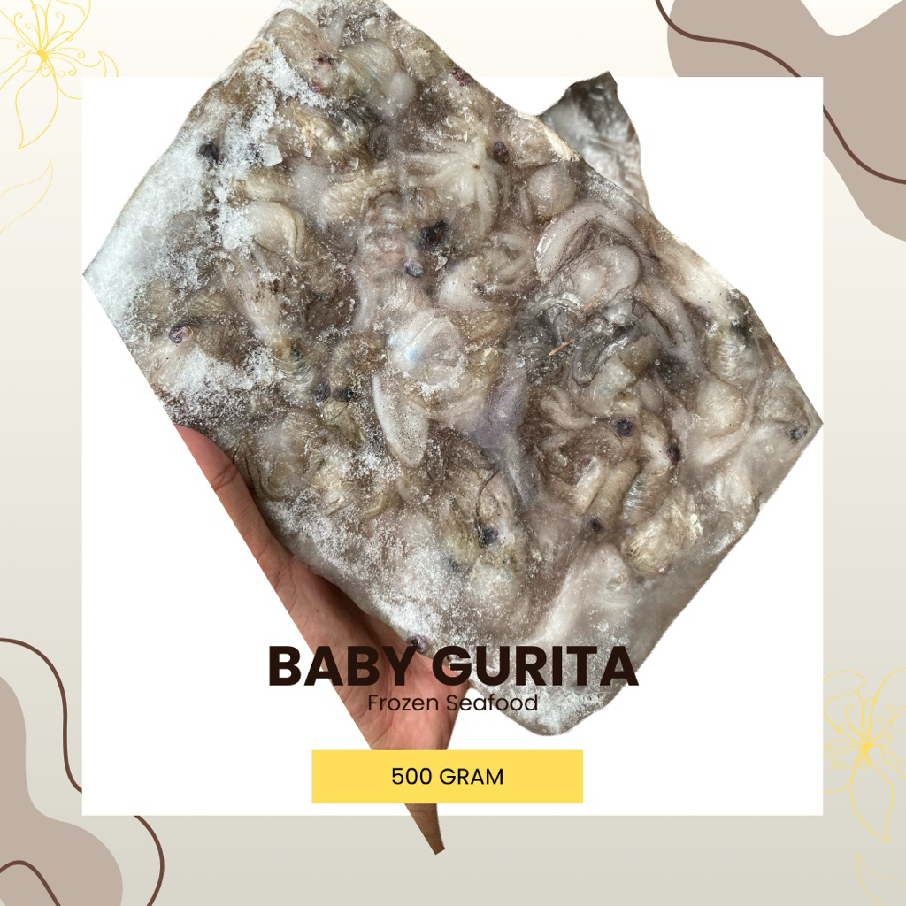BABY GURITA 1 KG | BABY OCTOPUS | TAKO