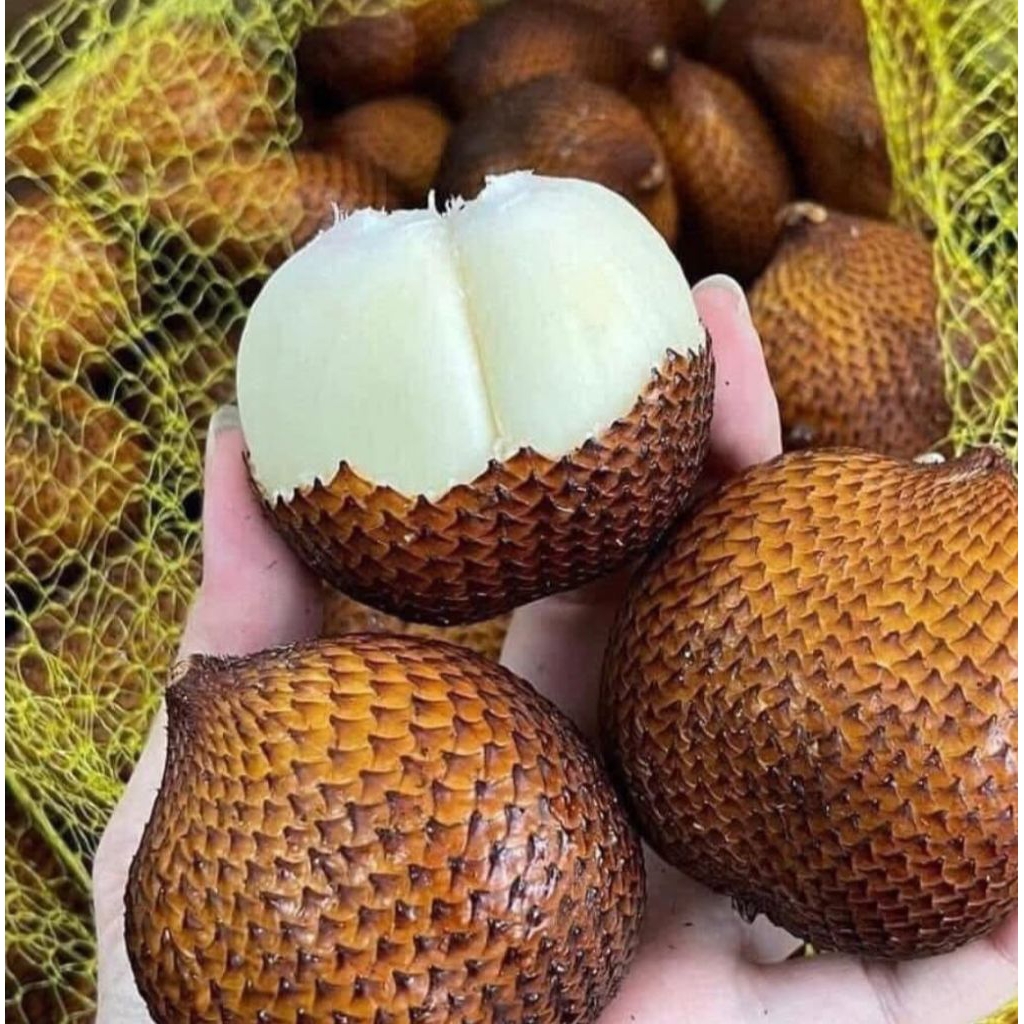 Salak Gula pasir Bali