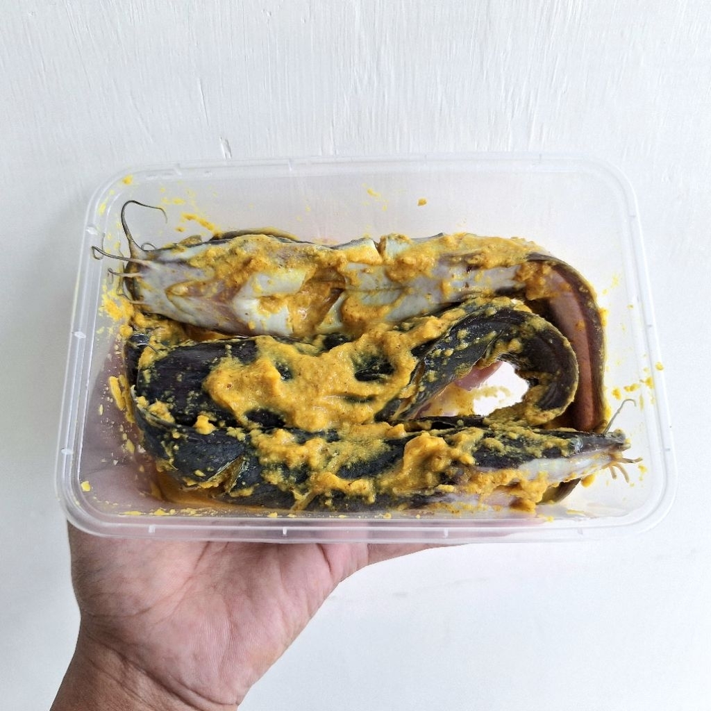 LELE MARINASI BUMBU KUNING 3 EKOR / LELE BUMBU KUNING / LELE SEGAR BUMBU KUNING