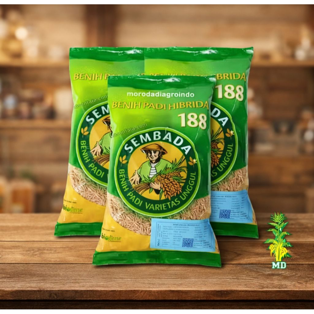 1 KG BENIH PADI HIBRIDA SEMBADA 188 SUPER ORIGINAL