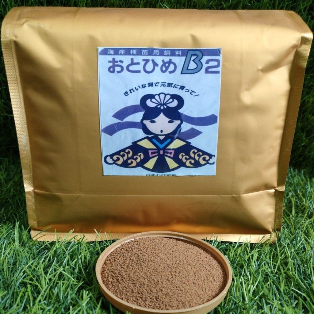 OTOHIME B2 (360-560mikron) 1 KG