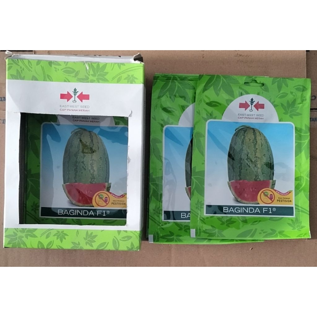 Bibit Semangka " BAGINDA F1 "  Isi 380 biji