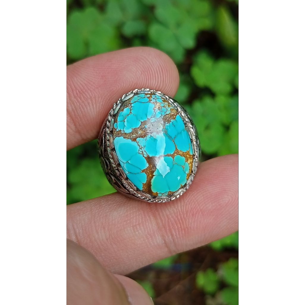 Natural pirus Persia Tosca biru ceplok