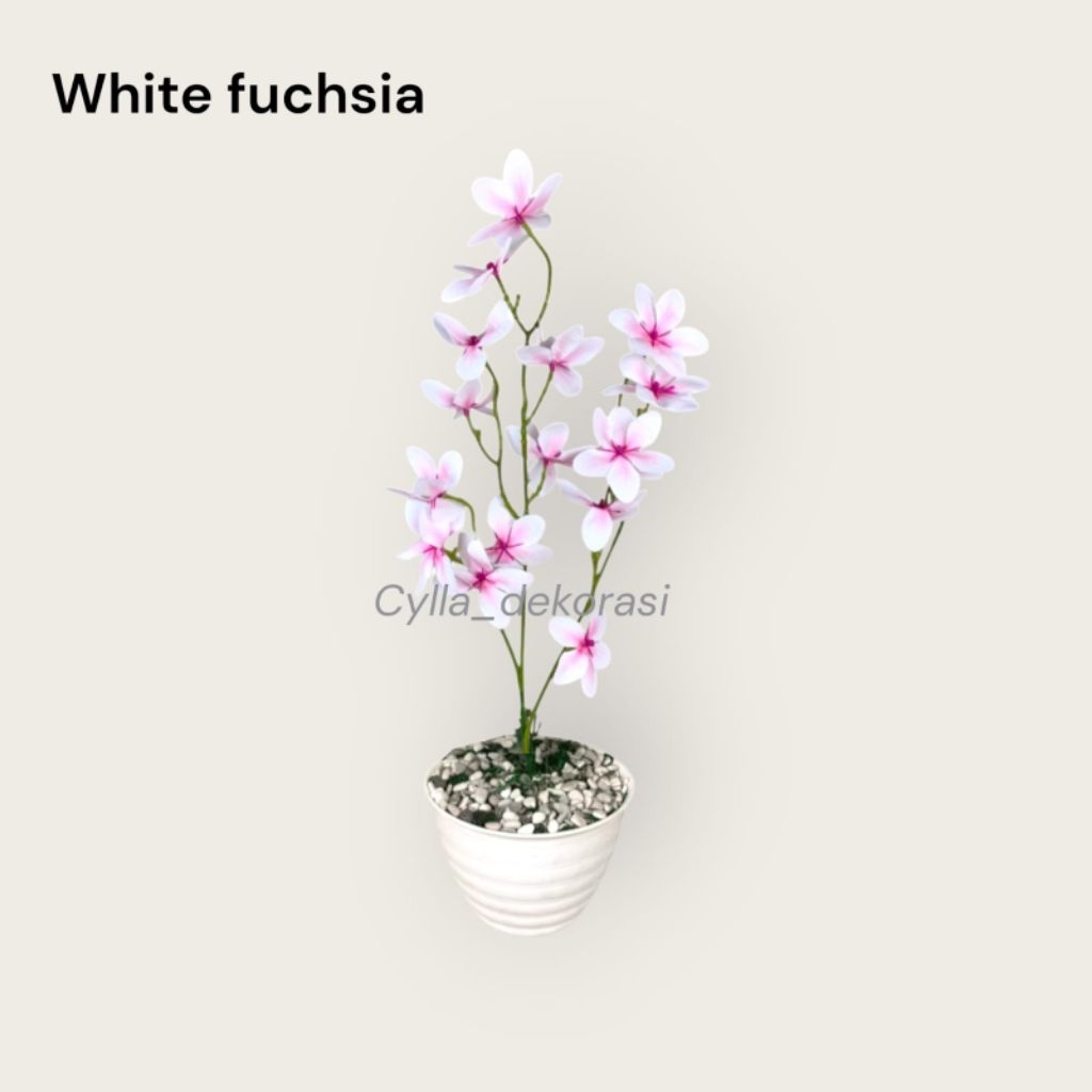 tanaman hias artificial kamboja minimalis aesthetic / tanaman palsu kamboja dengan pot putih dan bat