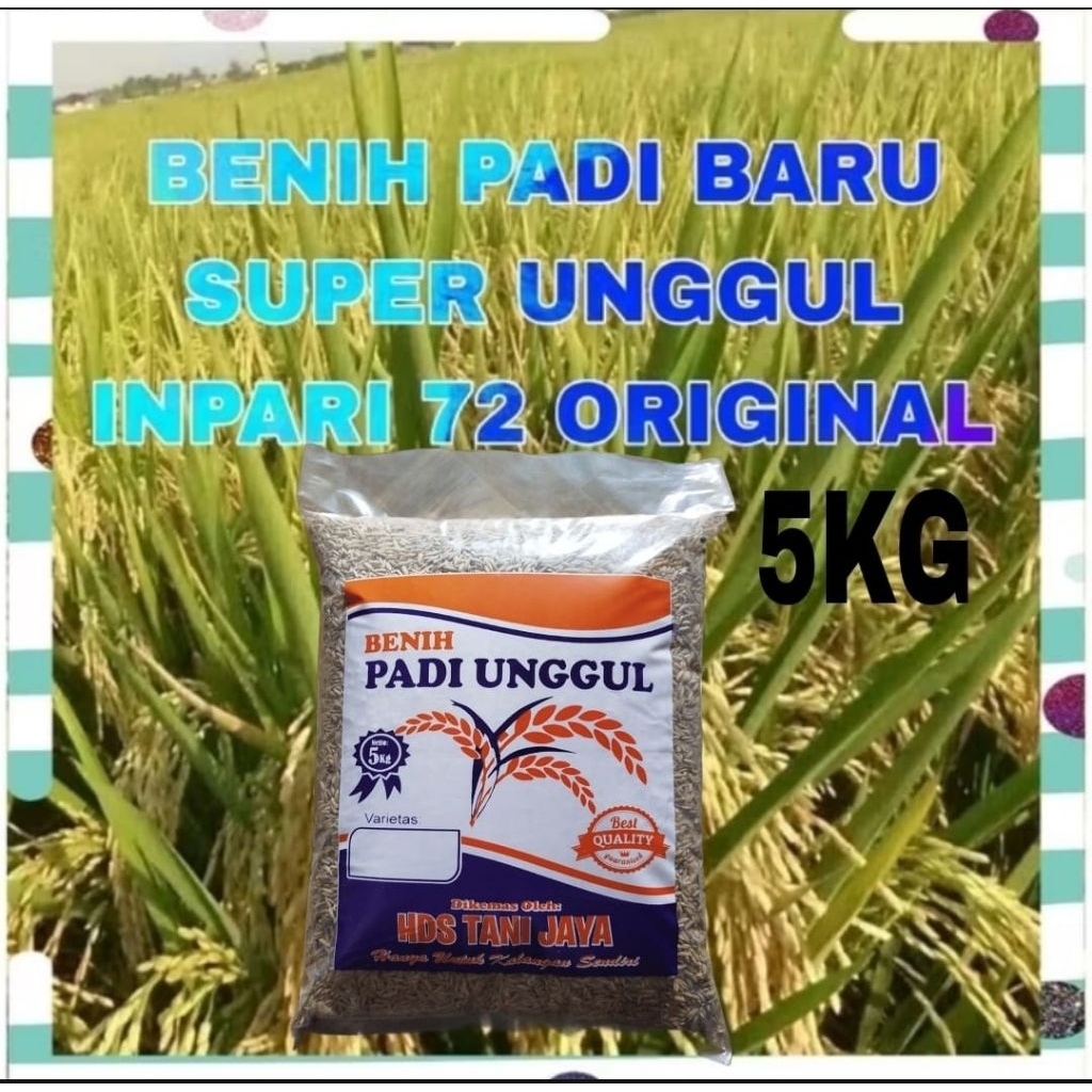 5KG BENIH PADI UNGGUL INPARI-72 SUPER LABEL PUTIH BERKWALITAS ORIGINAL
