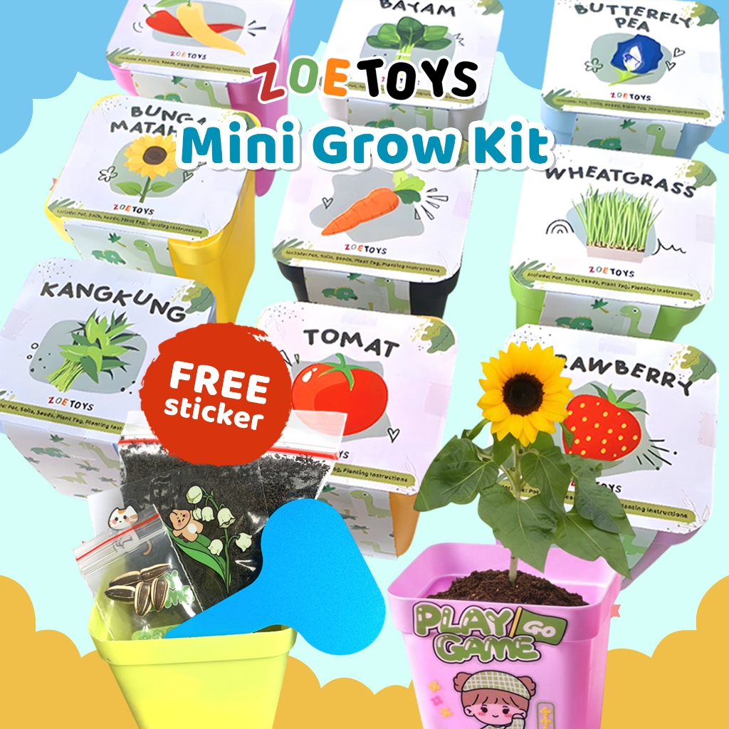 Zoetoys Mini Grow Kit BASIC GROW | Paket Berkebun Ulang Tahun Goodie Bag Hydrogel Orbeez Hampers