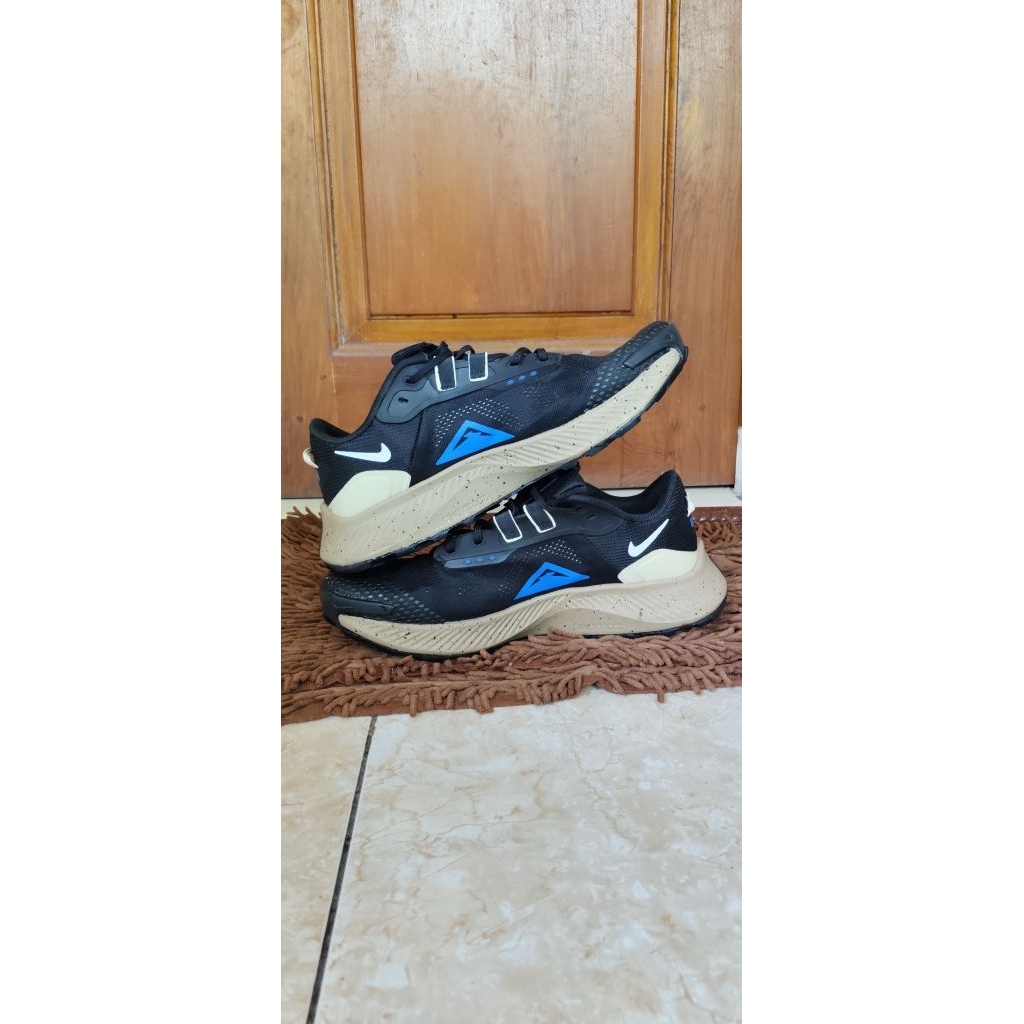 NIKE PEGASUS TRAIL 3