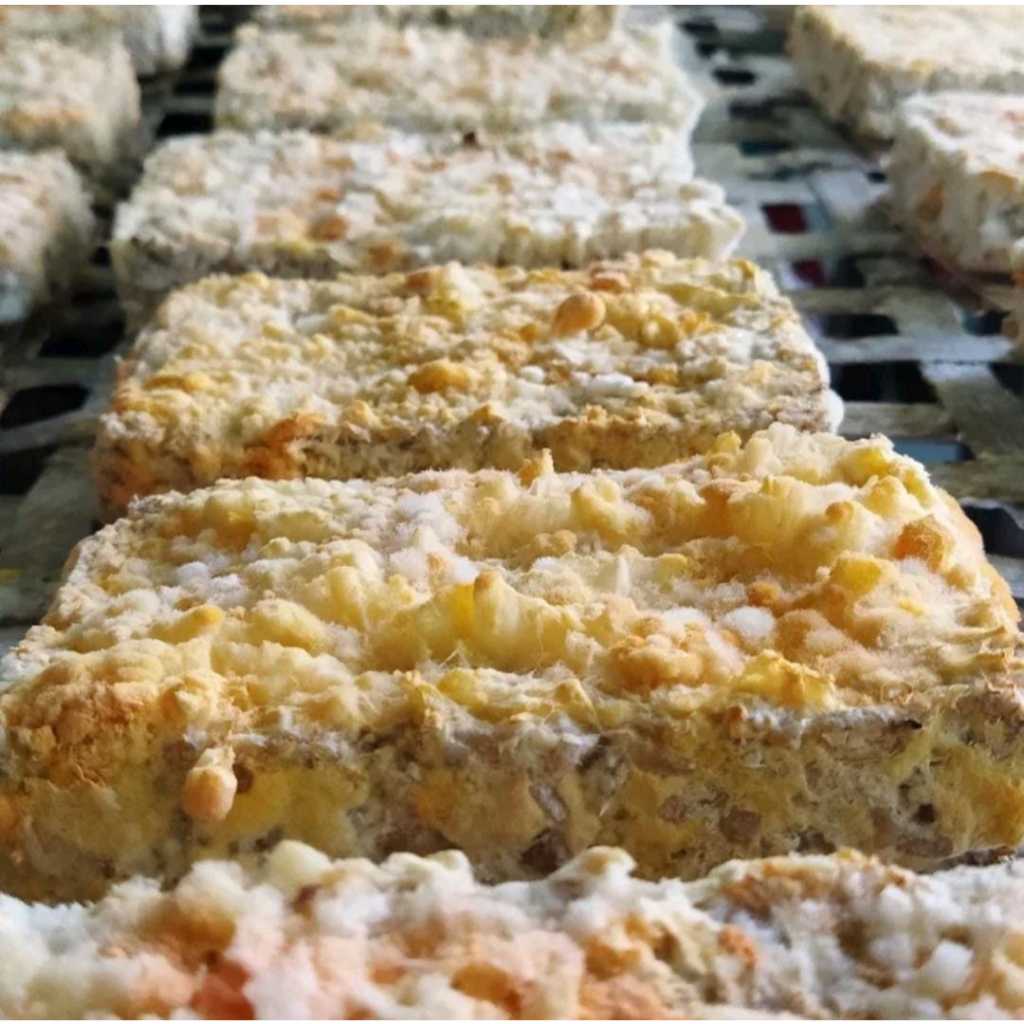 3 PCS ONCOM BANDUNG ONCOM KACANG SUDAH DI POTONG